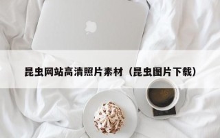 顺德昆虫网站高清照片素材（昆虫图片下载）